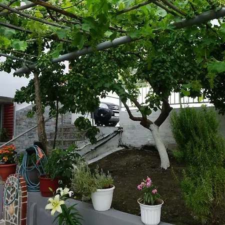 Anastasia' S Appartement Neos Marmaras